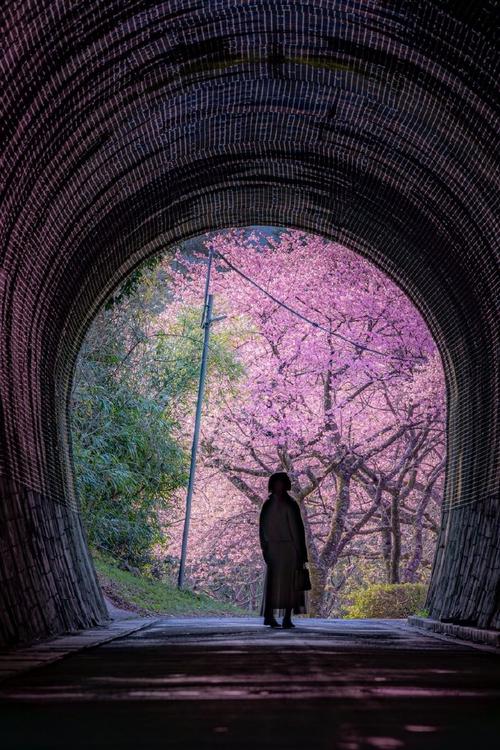 隧道(圖源:x.com